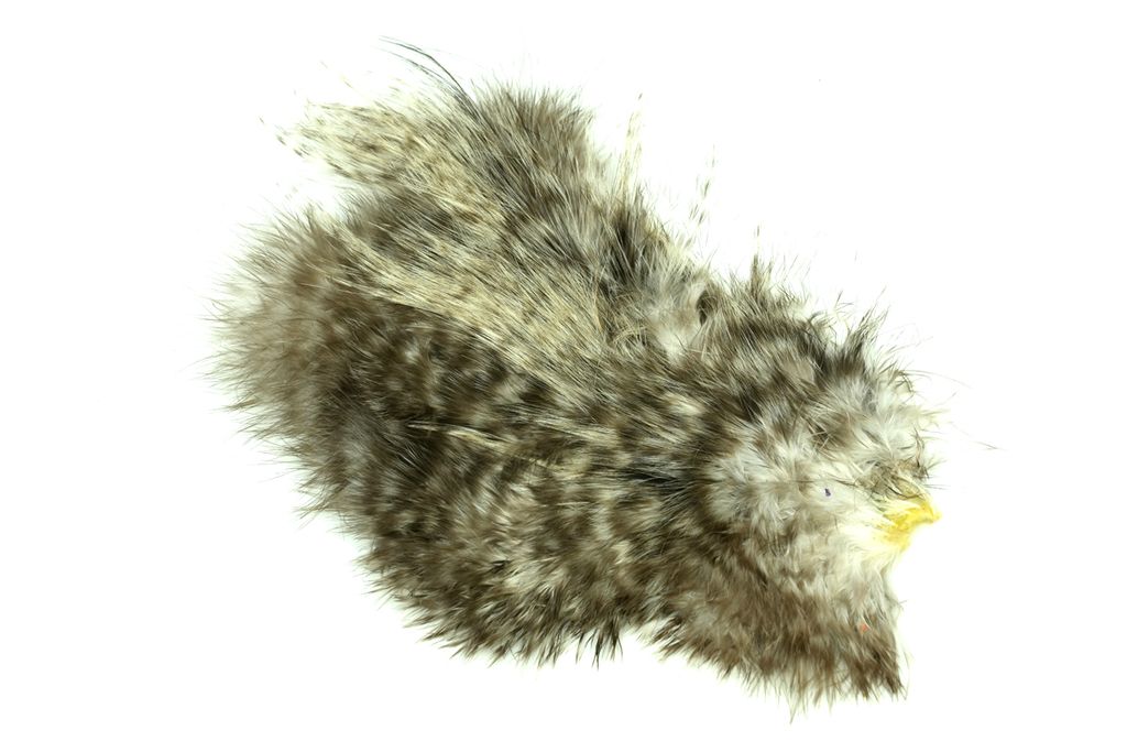 Whiting Birdfur  - 2