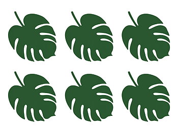 GRÖNA BLAD | Monstera 