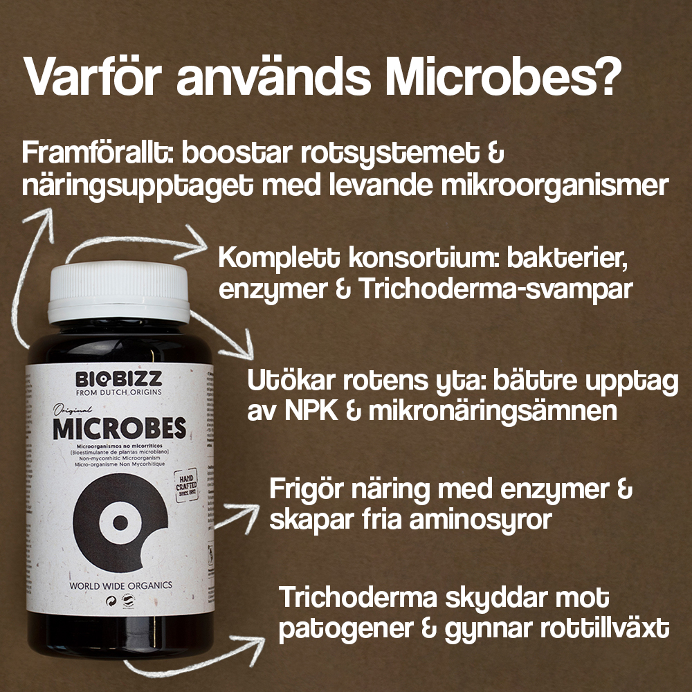 BioBizz Microbes - 2