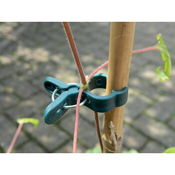 Plant clips uppbindning 5 pack liten