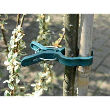 Plant clips uppbindning 5 pack stor