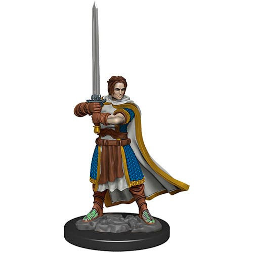 D&D Premium Painted Figure: Male Human Cleric