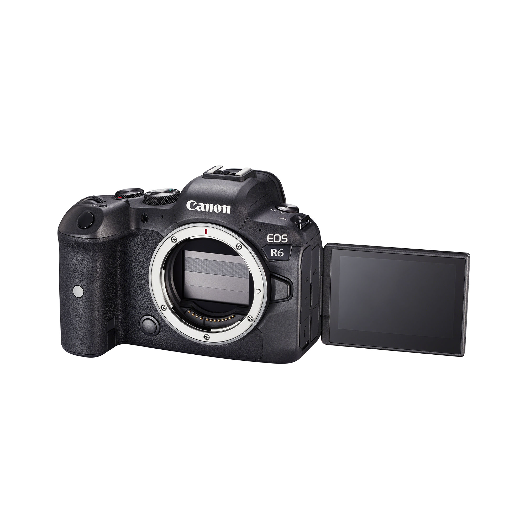 Canon EOS R6 - 2