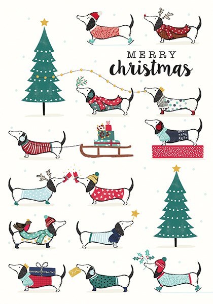 Many Franks, Xmas Single Card