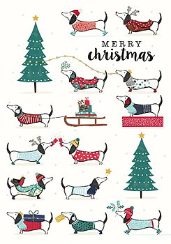 Many Franks, Xmas Single Card