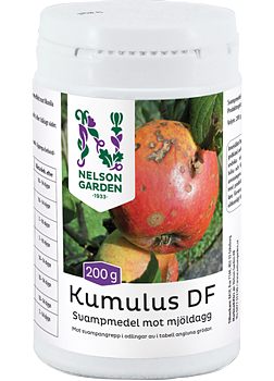 Mot svamp Kumulus DF 200g