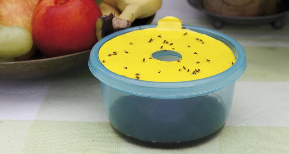 Limark till bananflugefälla 6st - 3