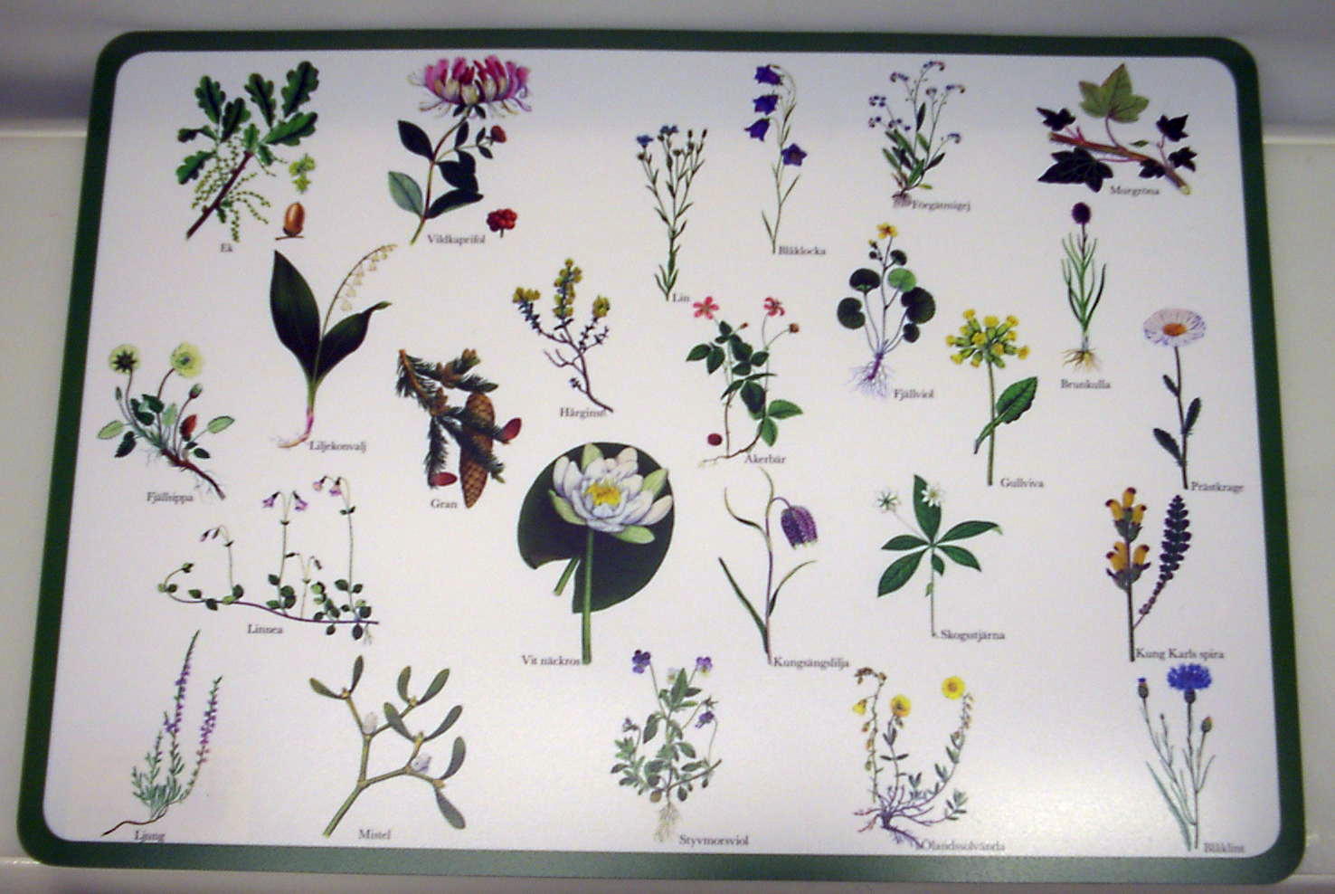 Bordstablett Landskaps blommor - Underlägg