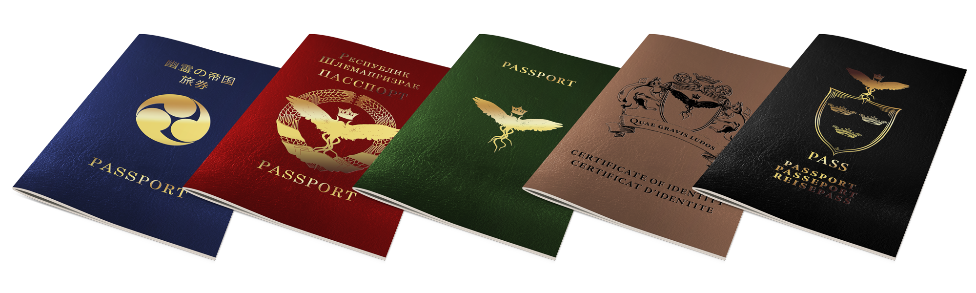 International Passport Set