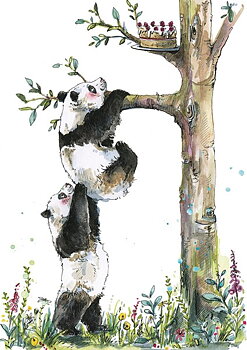 Pandas, Single Greeting Card