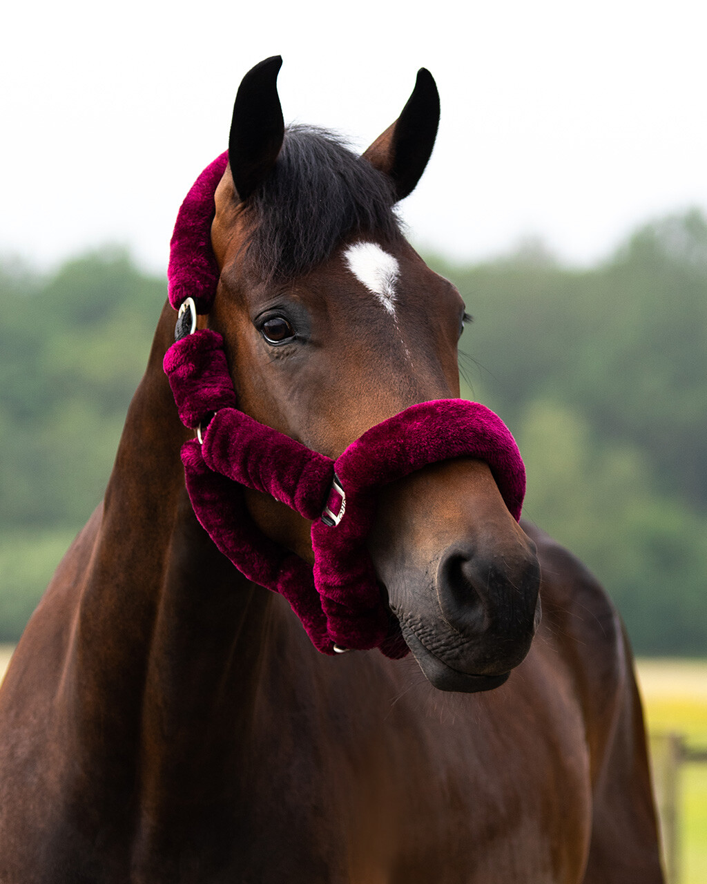 Grimma med ludd Alaska burgundy/svart