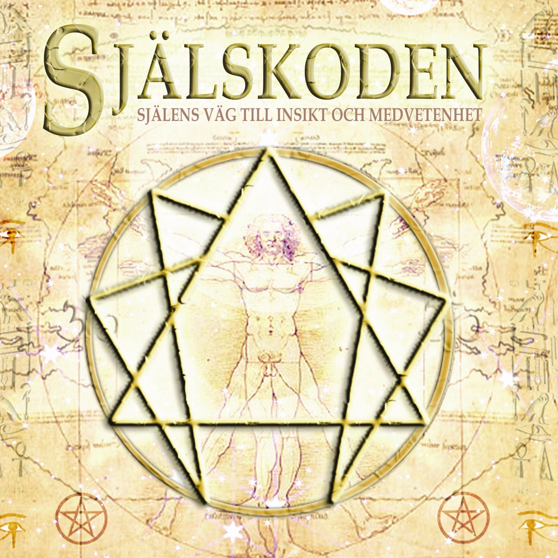 Själskoden : själens väg till insikt och medvetenhet - Nicklas Thörn, Ulf Andersson