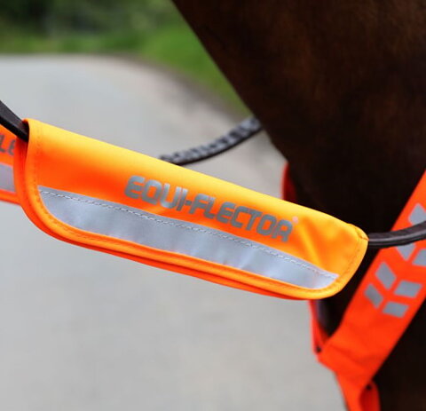 EQUI-FLECTOR® Tygel Reflex - ÄVEN I ROSA OCH GUL