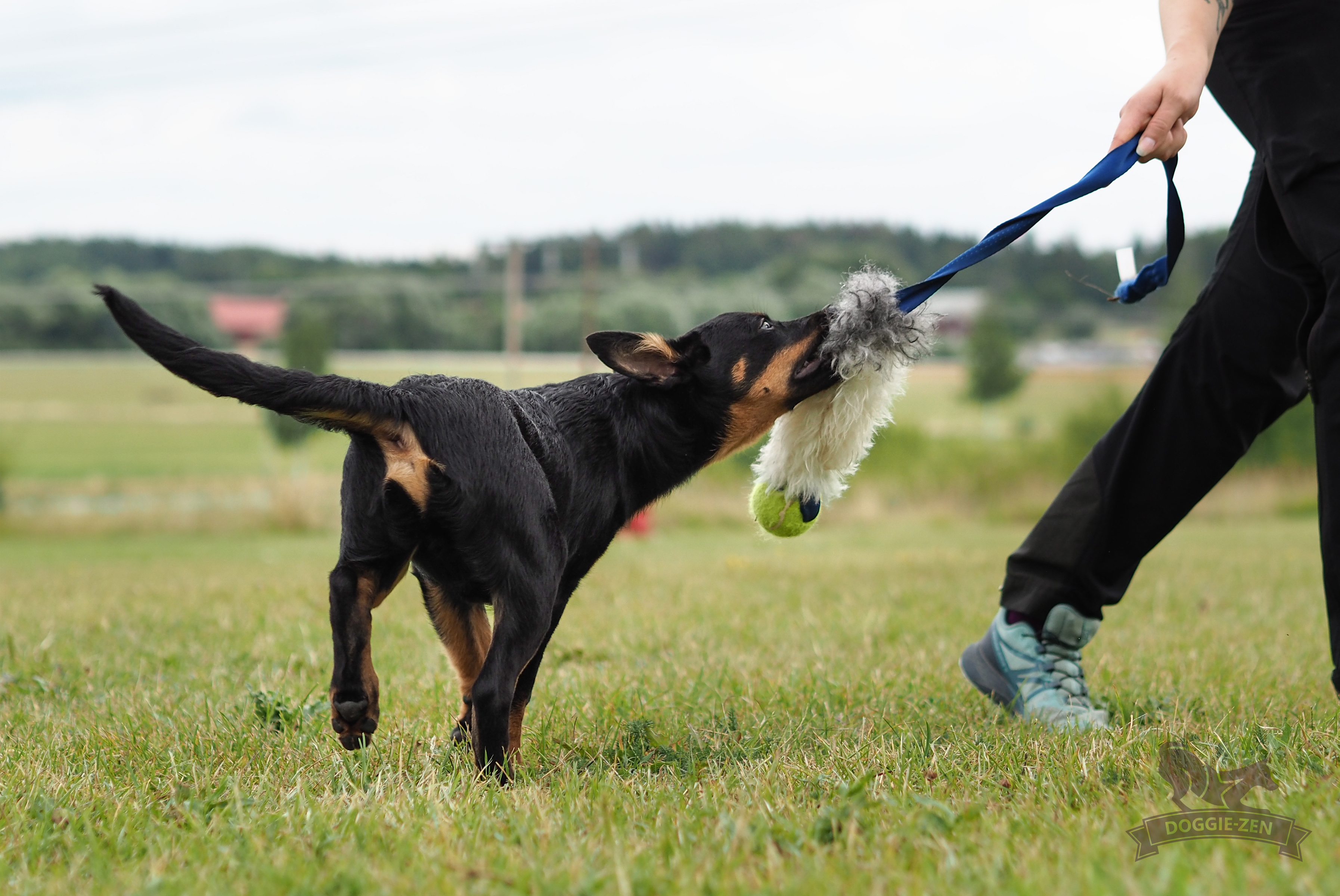Elastisk fårskinnsjagarkampis L med KONG Air pipboll - 4