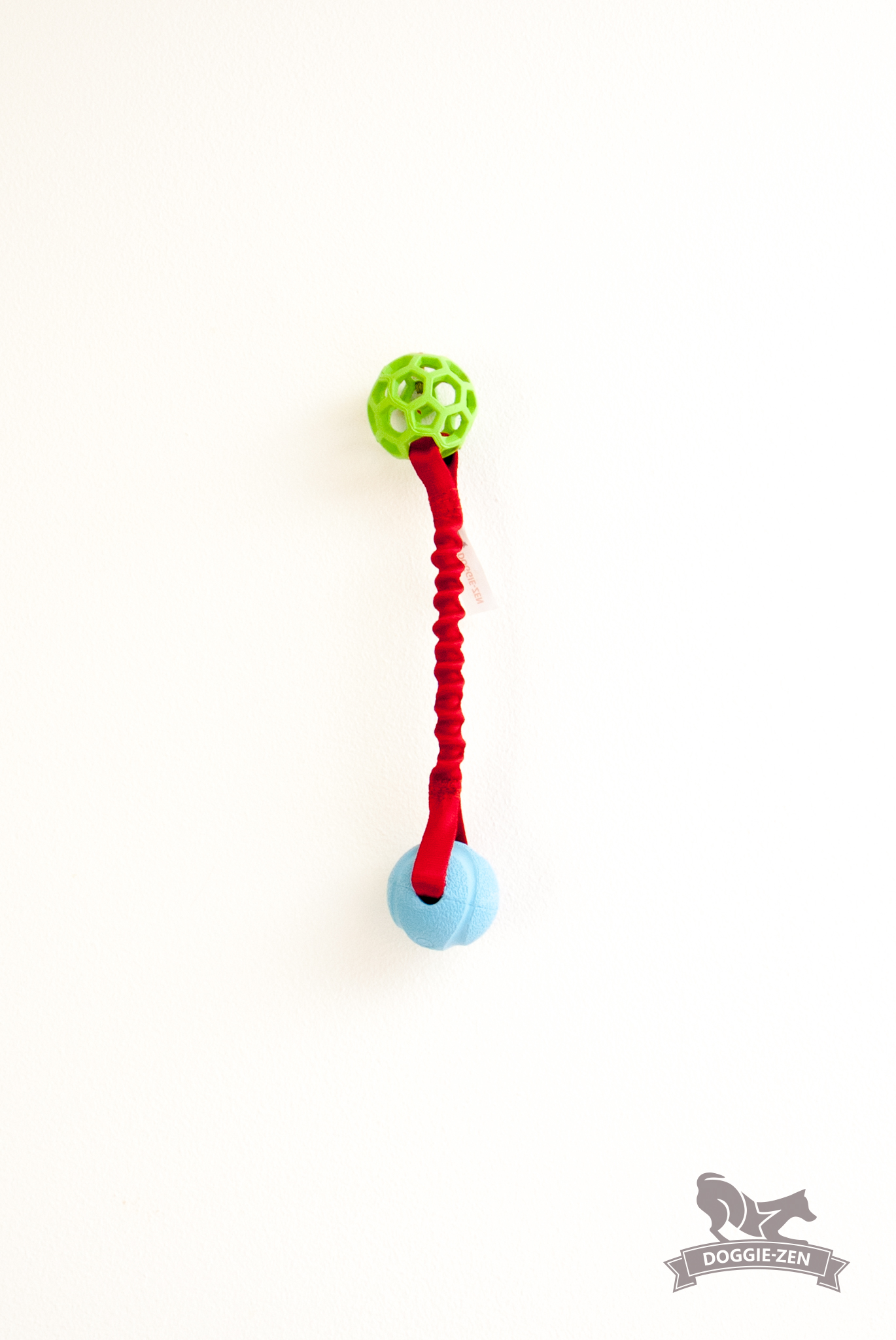 Rocket Bungee S Hol-ee Roller + Chuckit - 10