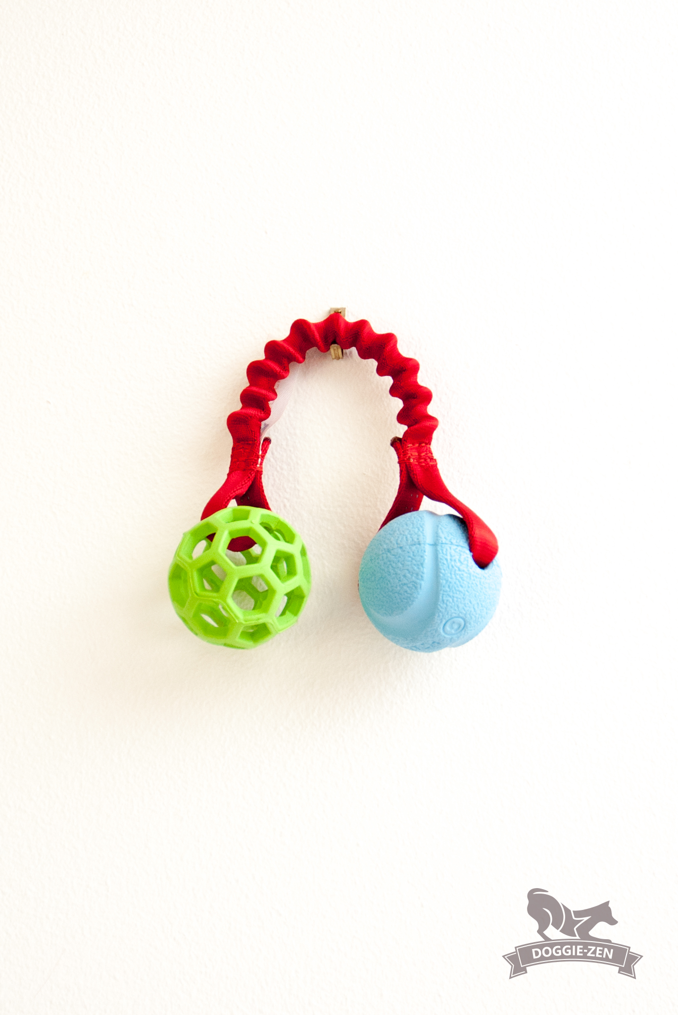 Rocket Bungee S Hol-ee Roller + Chuckit - 6