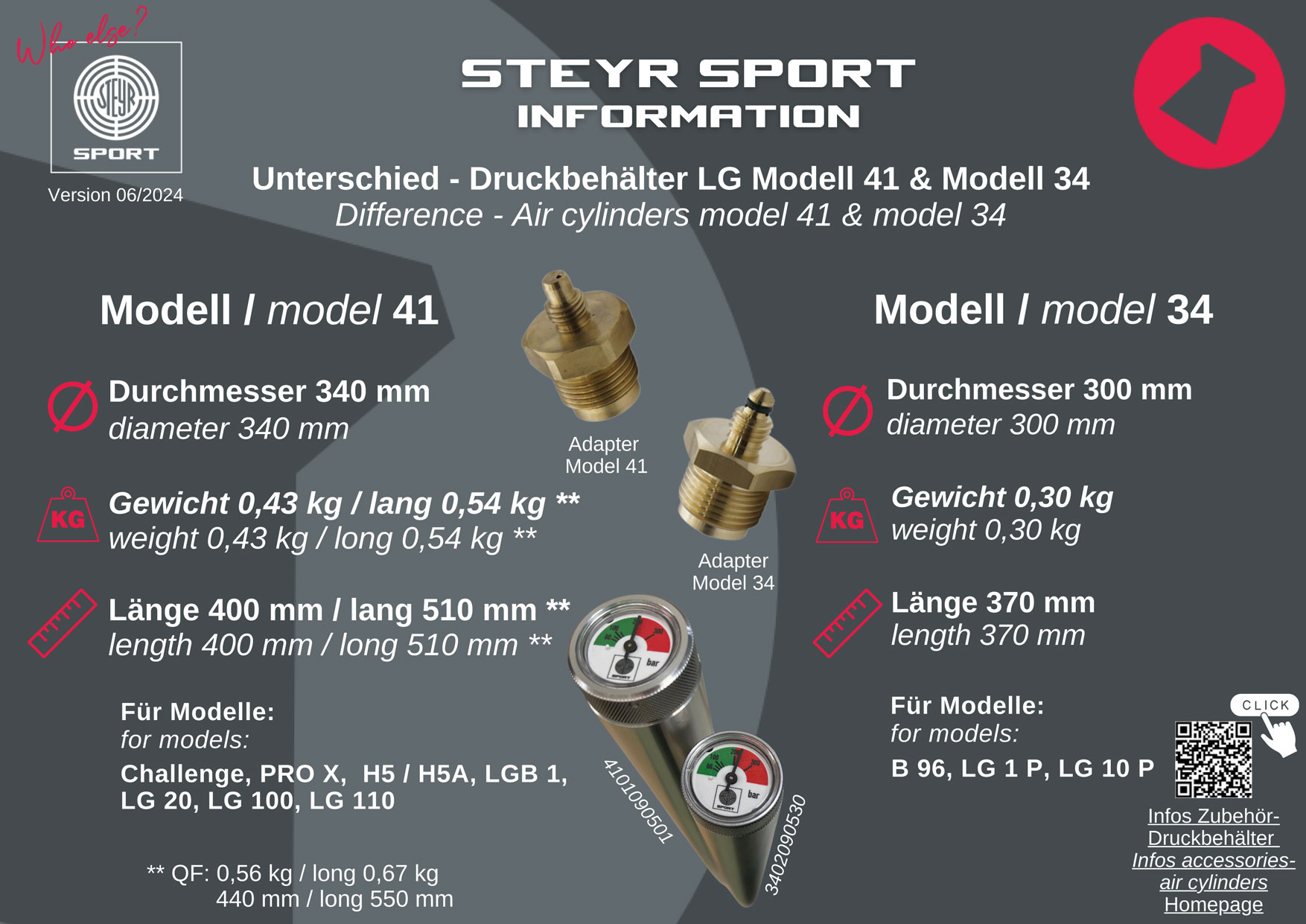 STEYR Air Cylinder- LP / I LAGER - 2