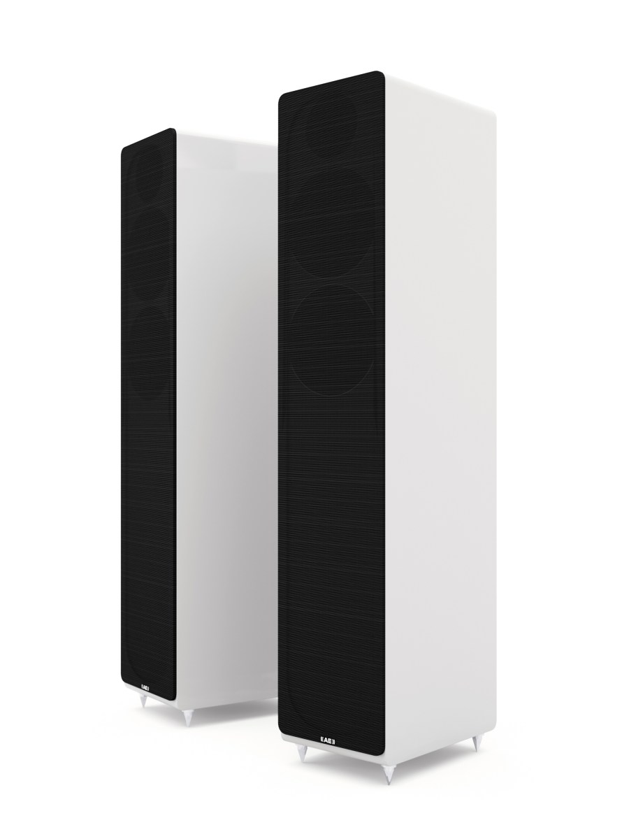 Acoustic Energy AE 309 - 2
