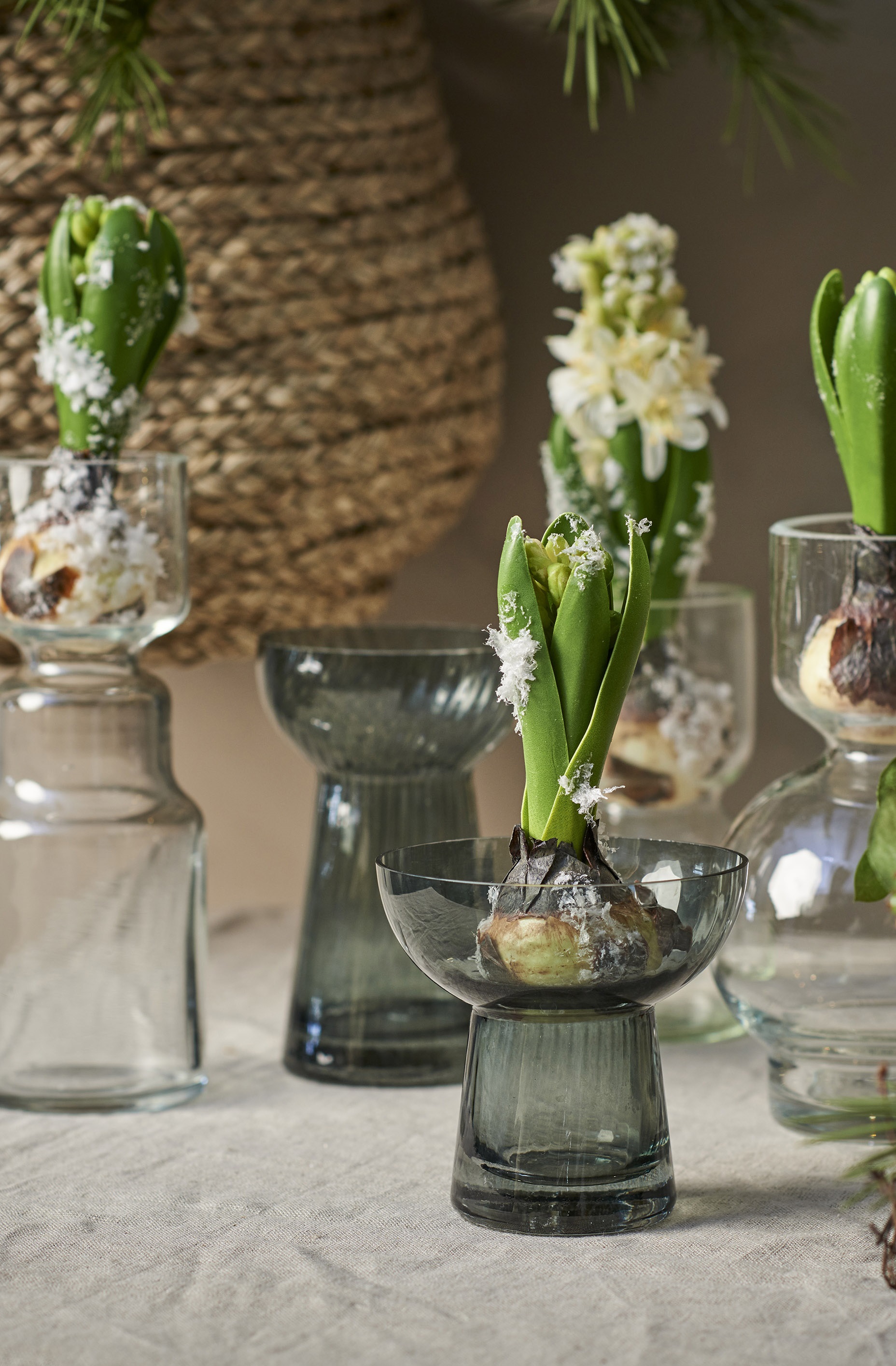 Onion vase - Glass vase - Hyacinth vase - 12x7 cm - 2