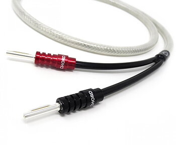 Chord Shawline X Ohmic