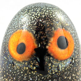 Oiva Toikka (2006) Lovely Little Barn Owl (Riihipöllön Poikanen) Glass Bird (4)