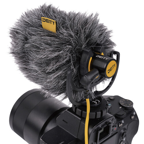 deity videomic