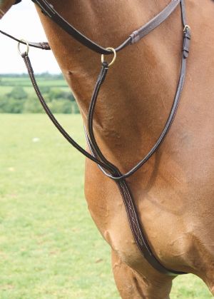 Shires Salisbury Martingal