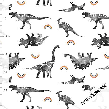 RAINBOW DINO COLLEGE