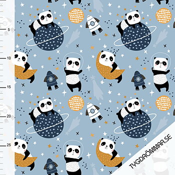SPACE PANDA COLLEGE