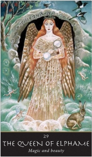 WITCHES' ORACLE - Sally Morningstar Illustrated by Danuta Mayer - 2