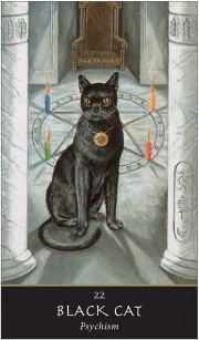 WITCHES' ORACLE - Sally Morningstar Illustrated by Danuta Mayer - 3