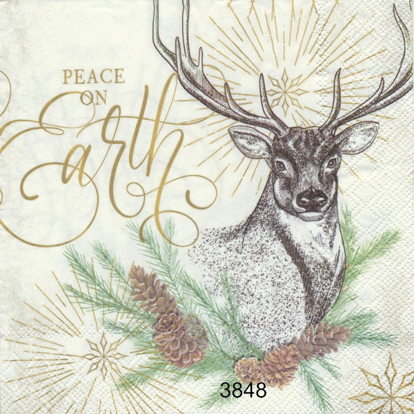 Peace on earth