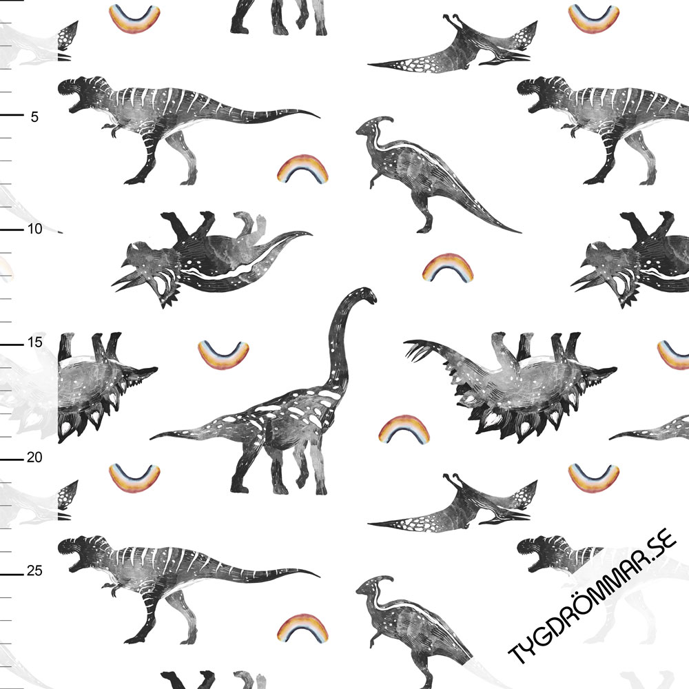 RAINBOW DINO COLLEGE