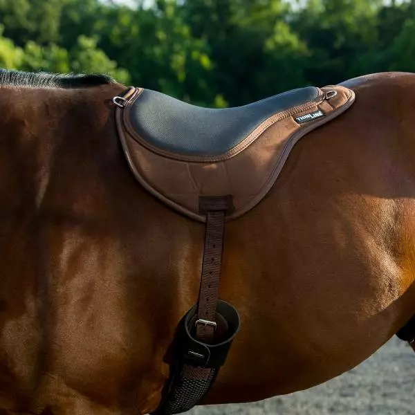 ThinLine® Ride pad / bareback saddle SuperCloseContact (incl. girth), black - 20