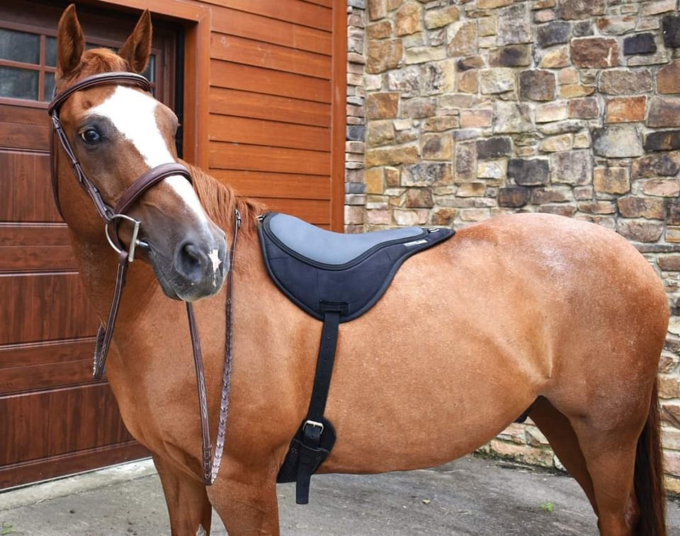 ThinLine® ride pad / bareback saddle SuperCloseContact (incl. girth), brown - 16
