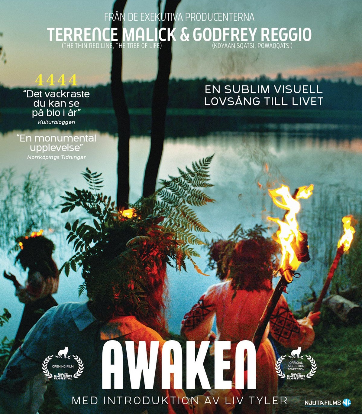Awaken (Blu-ray)