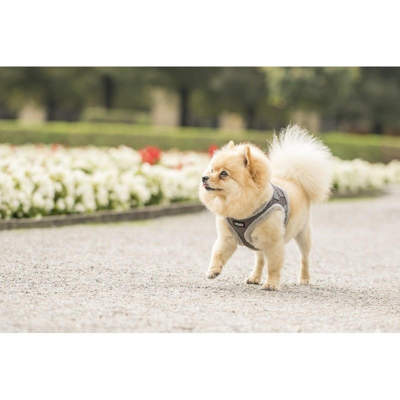 Chiara Softly Lined Grey Dog Harness - 2