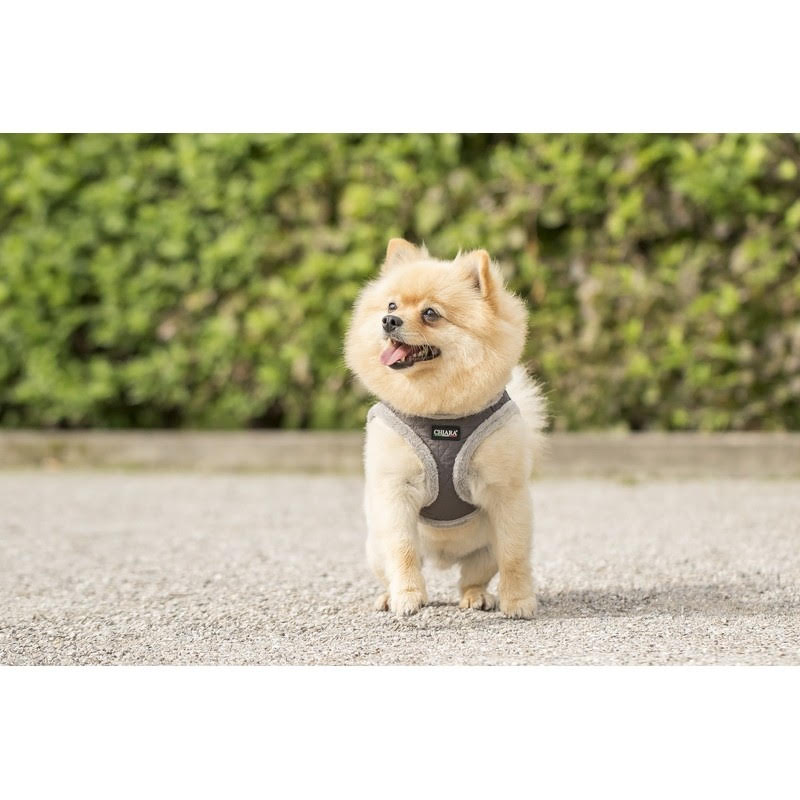 Chiara Softly Lined Grey Dog Harness - 3