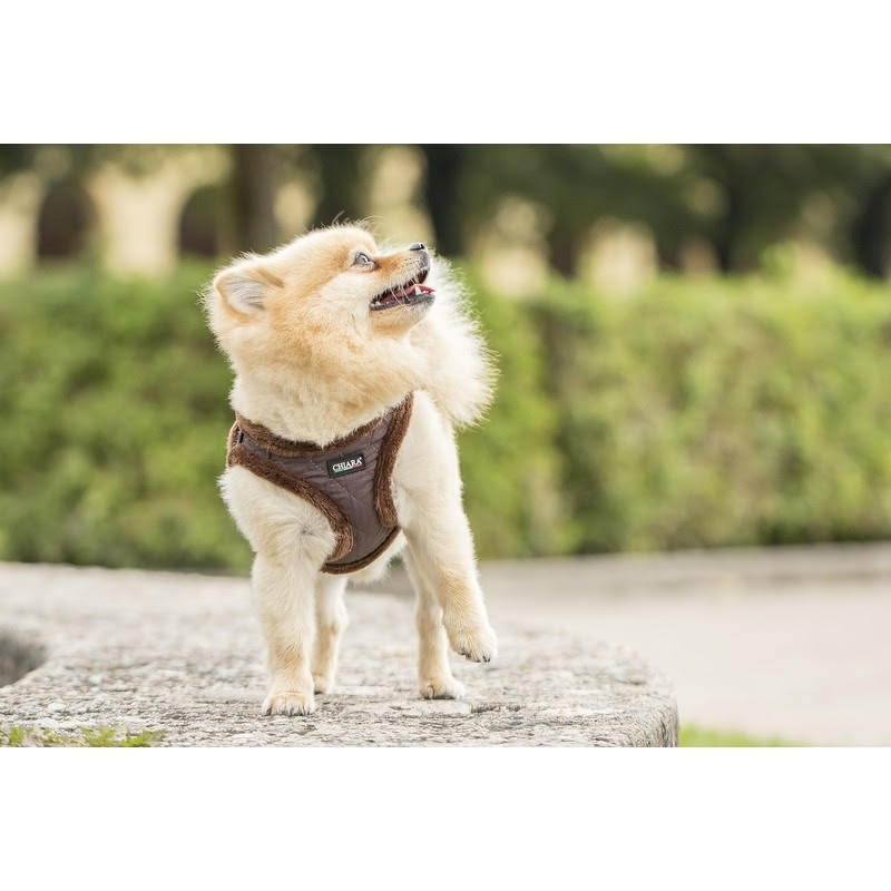 Chiara Soft-Lined Brown Dog Harness - 2