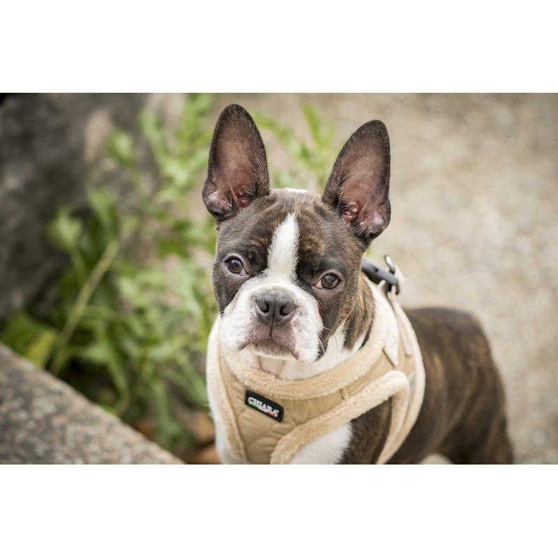 Chiara Softly Lined Beige Dog Harness - 3