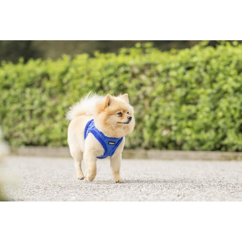 Chiara Softly Lined Blue Dog Harness - 3