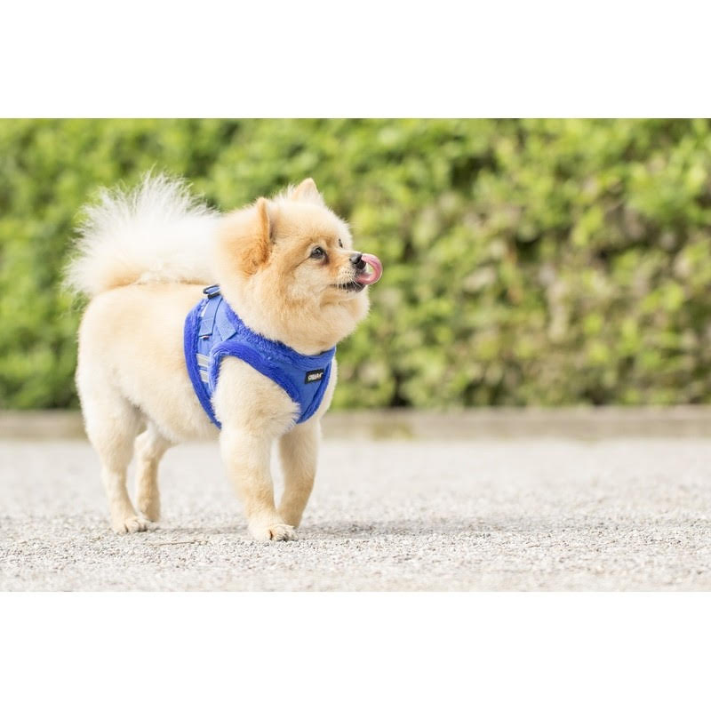 Chiara Softly Lined Blue Dog Harness - 2