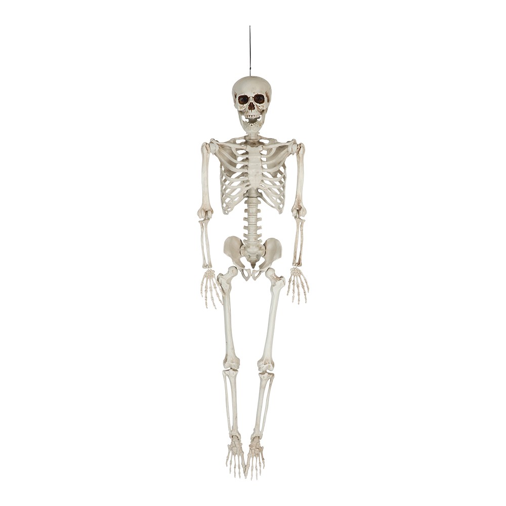 Hängande skelett Halloween 153 cm i benfärgad design
