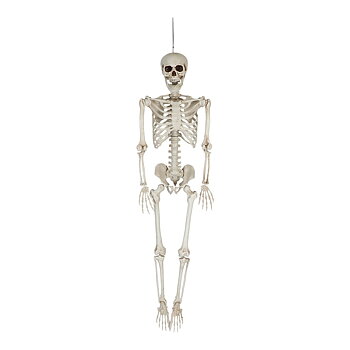 Hängande skelett Halloween 153 cm i benfärgad design