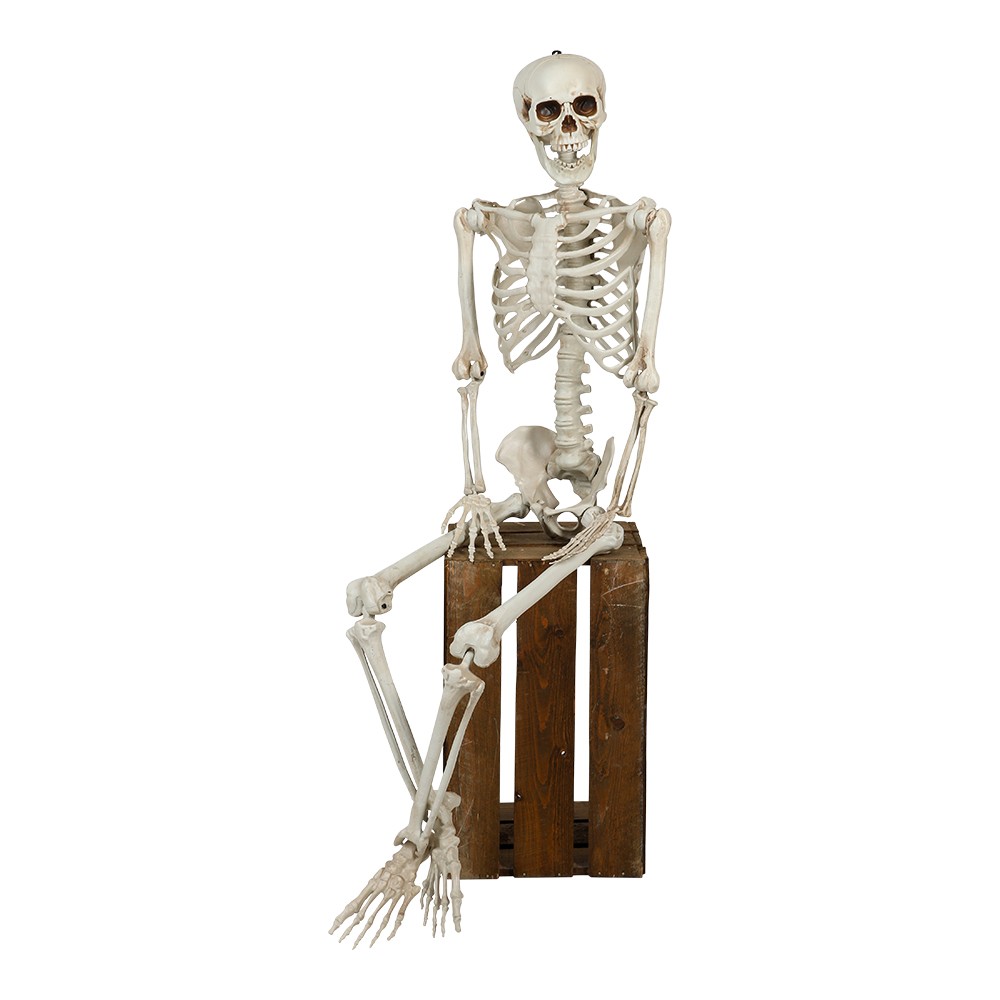 Stort Halloween skelett 153 cm placerat sittande som dekoration