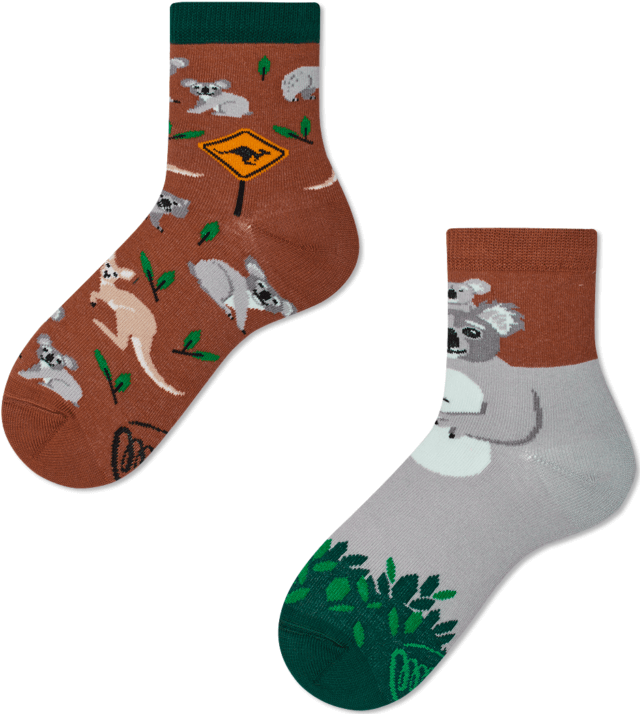 Many Mornings Koality Time Barn