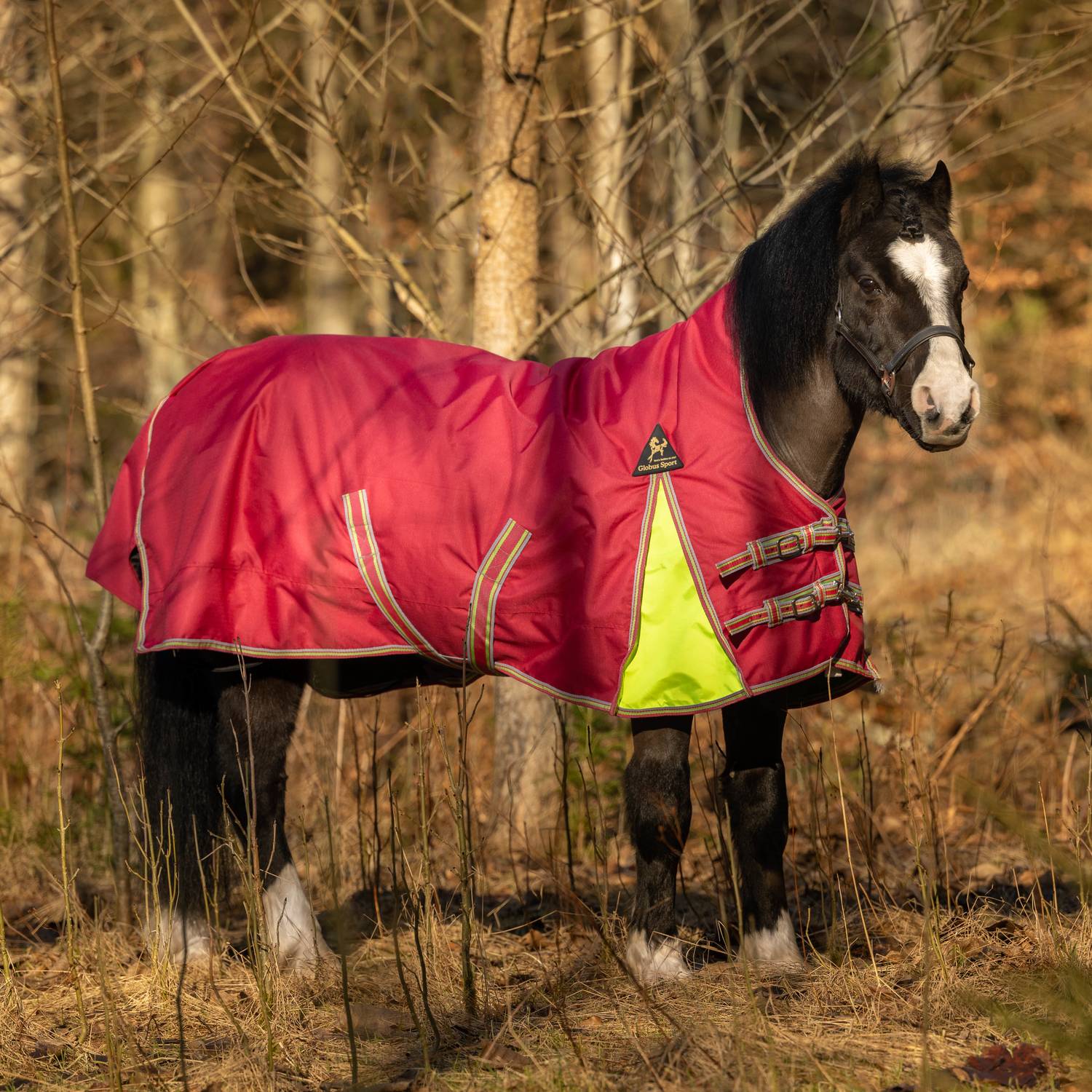 Globus 100g Tarzan 125-165 cm FLERE FARGER - 3