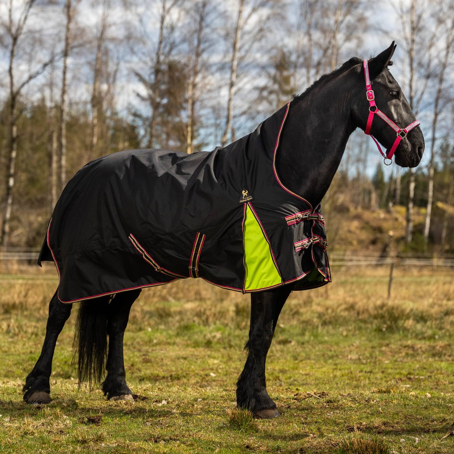 Globus 100g Tarzan 125-165 cm FLERE FARGER