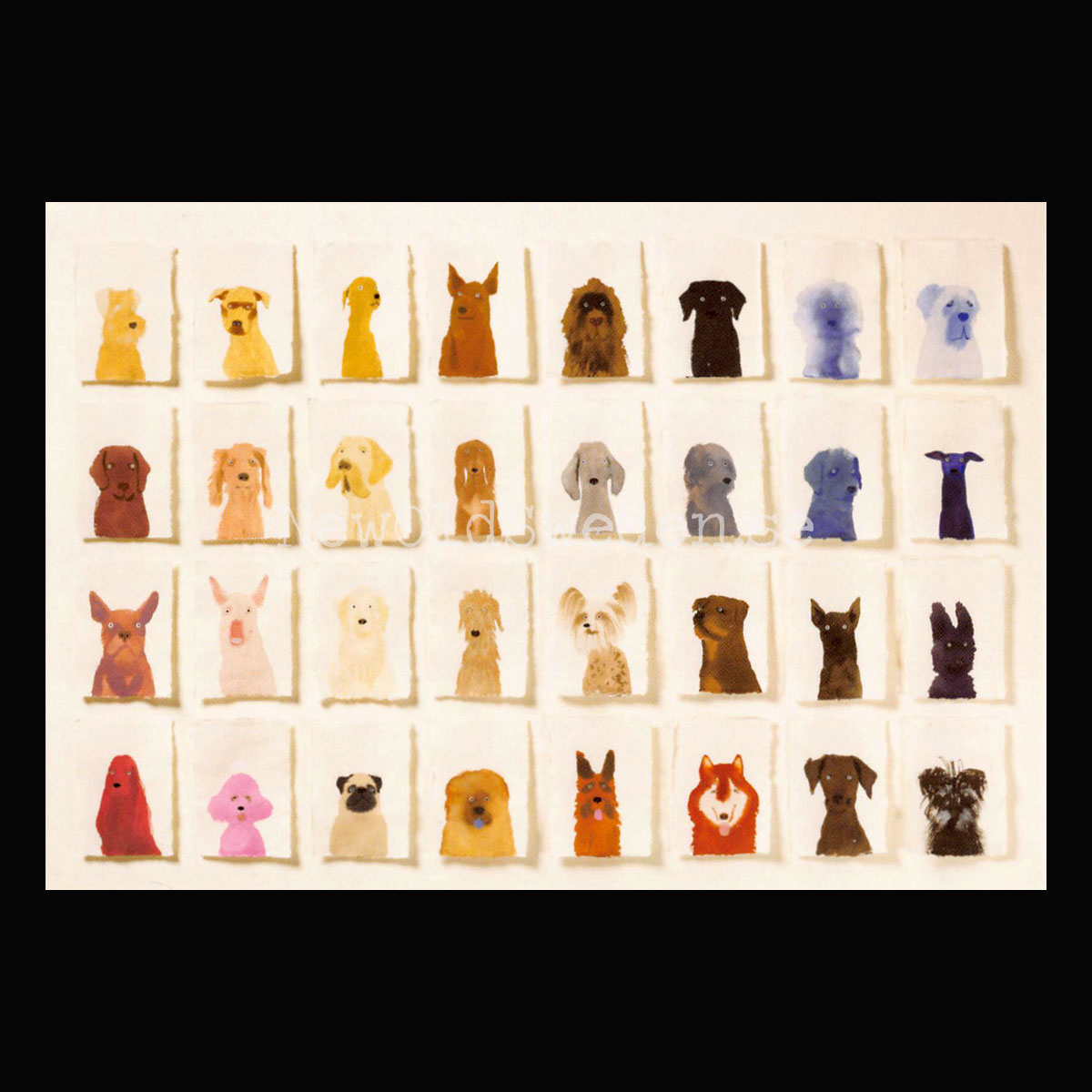 Rainbow Dogs 2020 - Holly Frean - Postcard A6 - 1607