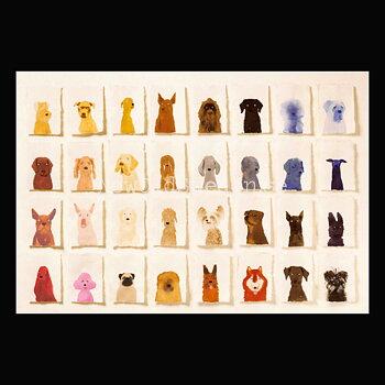 Rainbow Dogs 2020 - Holly Frean - Postcard A6 - 1607
